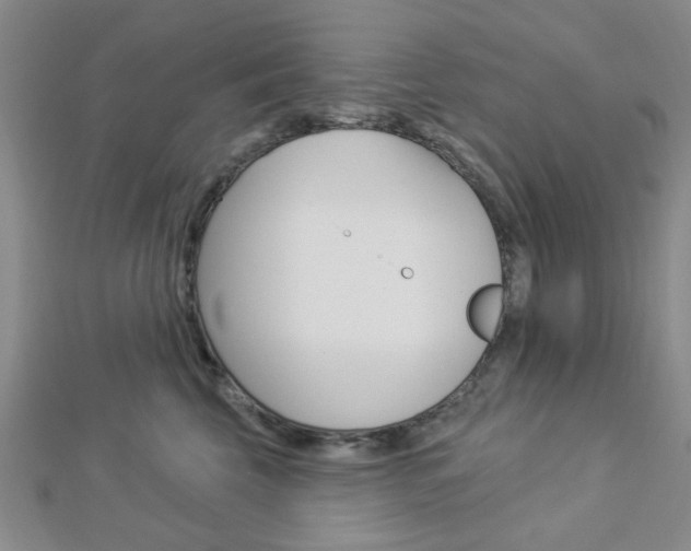 X0000112910569200908241011