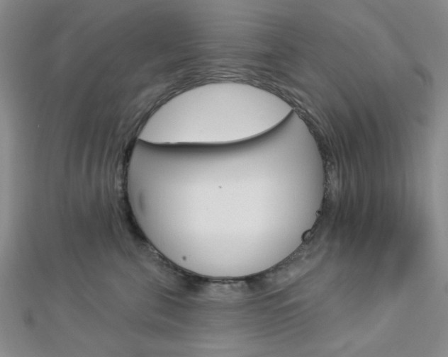 X0000112910571200908241011