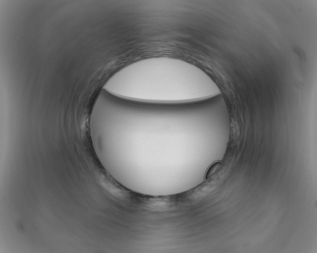 X0000112910574200908241011