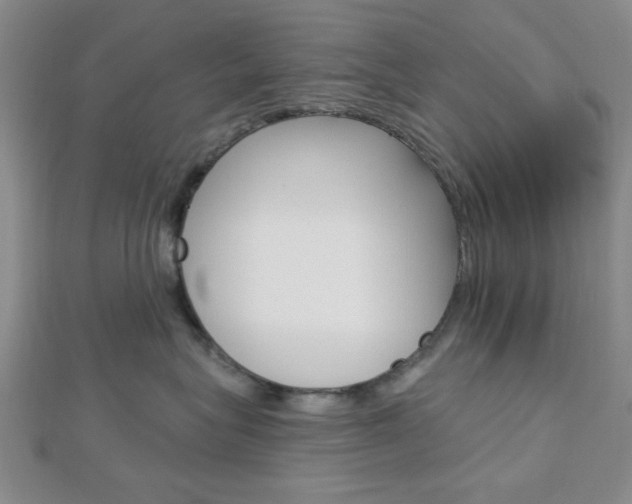 X0000112910575200908241011