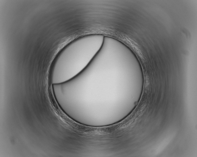 X0000112910578200908241010