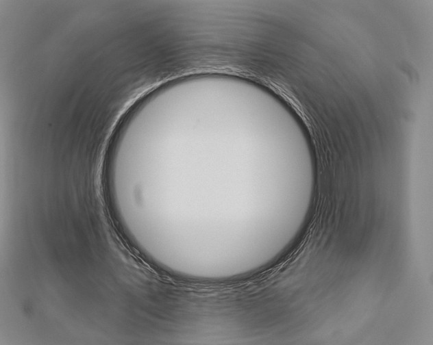 X0000112910579200908241010