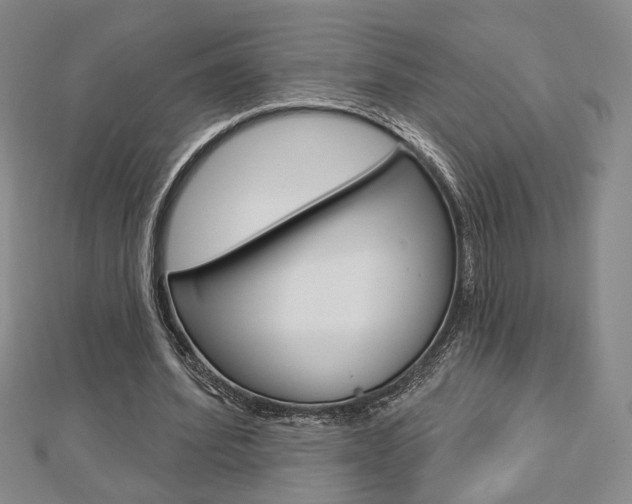 X0000112910580200908241010