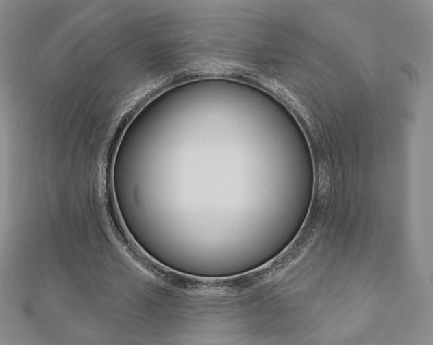 X0000112910581200908241010