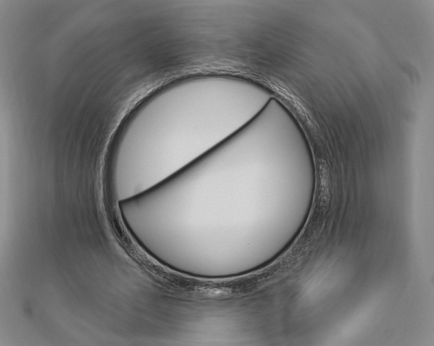 X0000112910582200908241010