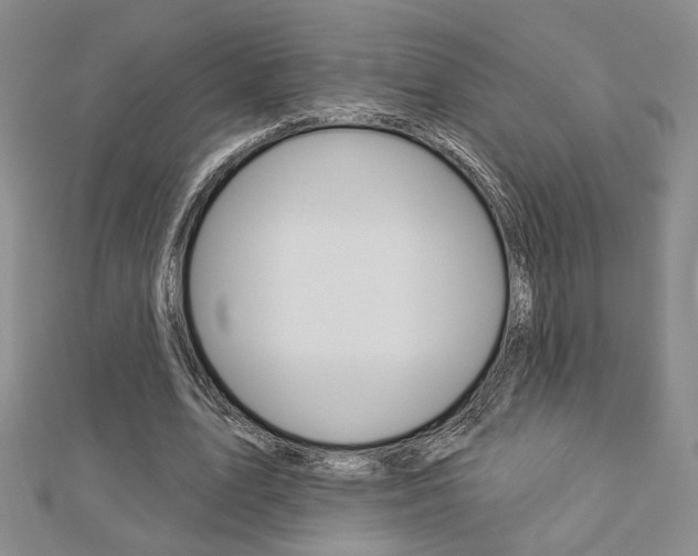 X0000112910583200908241010