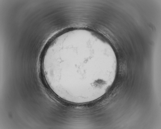 X0000112910584200908241010