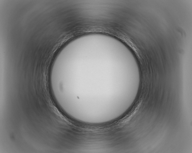 X0000112910585200908241010