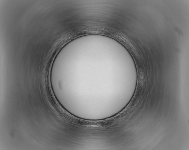 X0000112910586200908241010