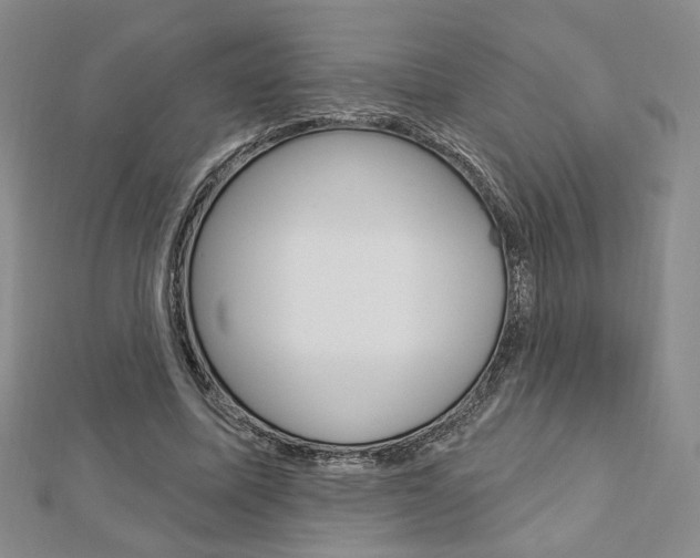X0000112910587200908241010