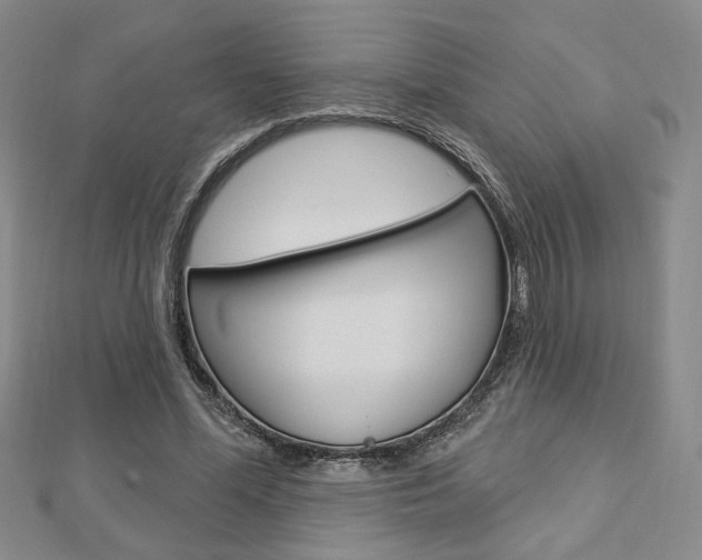 X0000112910588200908241010
