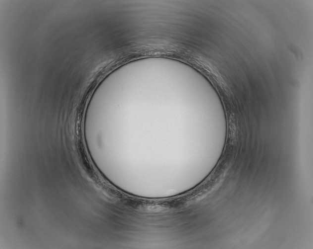 X0000112910590200908241010