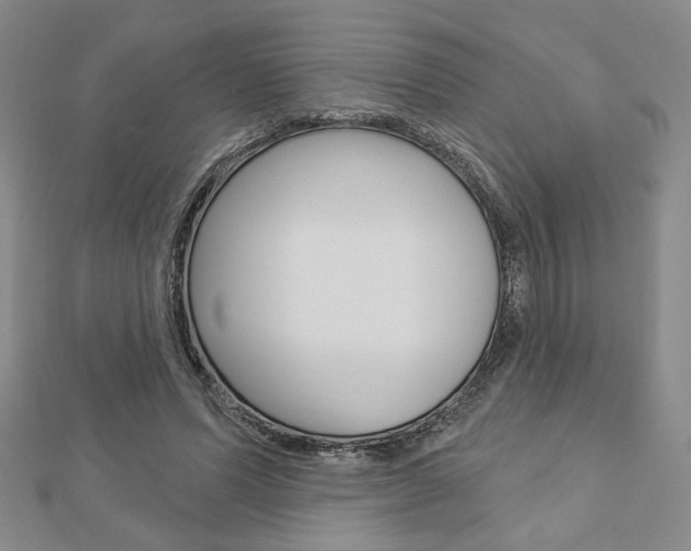 X0000112910591200908241010