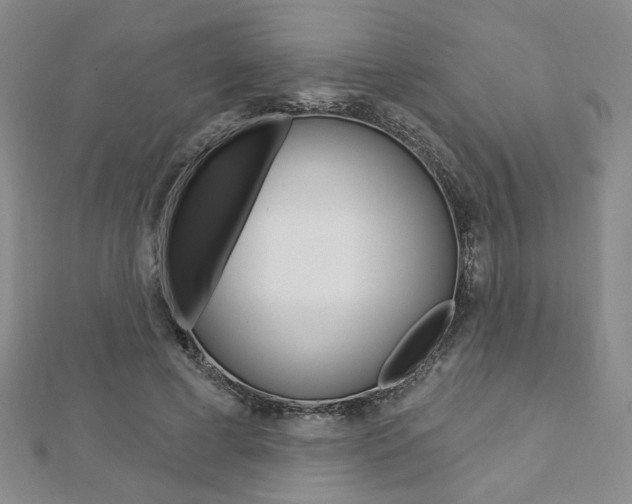 X0000112910593200908241010