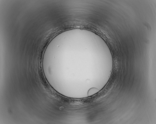X0000112910594200908241010