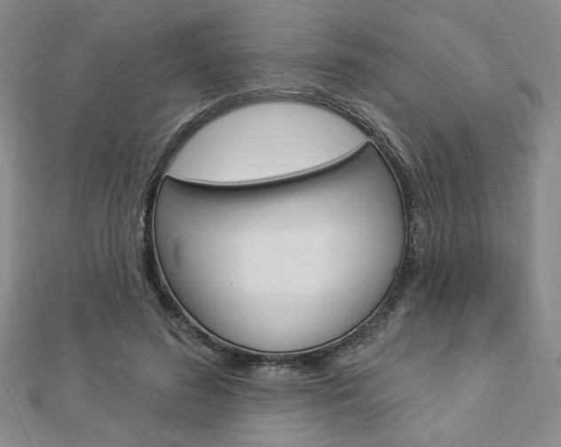 X0000112910596200908241010