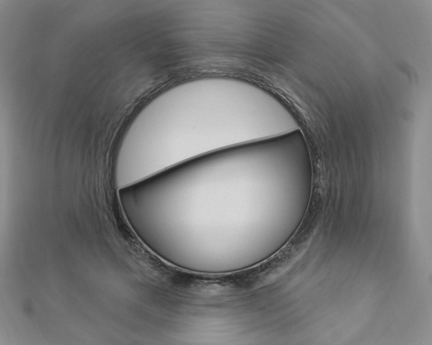 X0000112910597200908241010