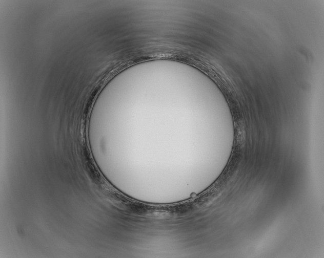 X0000112910598200908241010