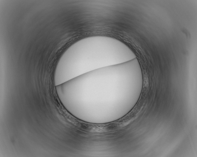 X0000112910599200908241010