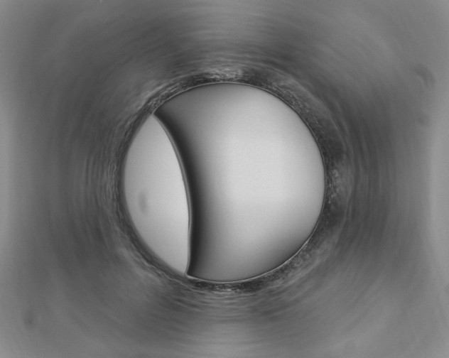 X0000112910600200908241010