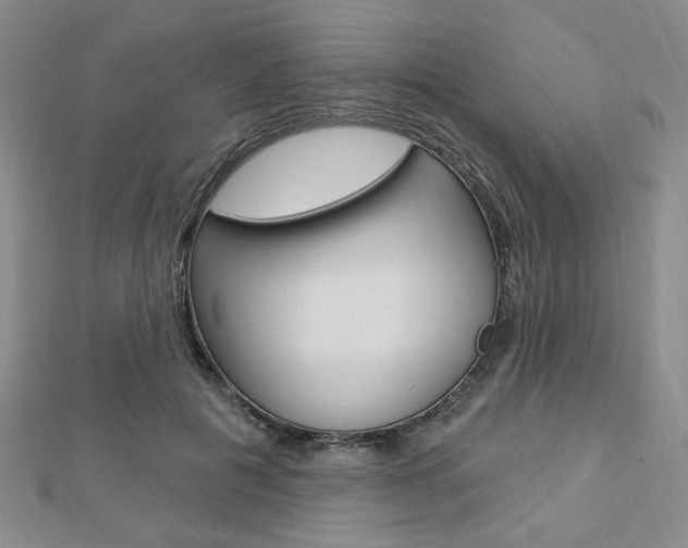 X0000112910601200908241010