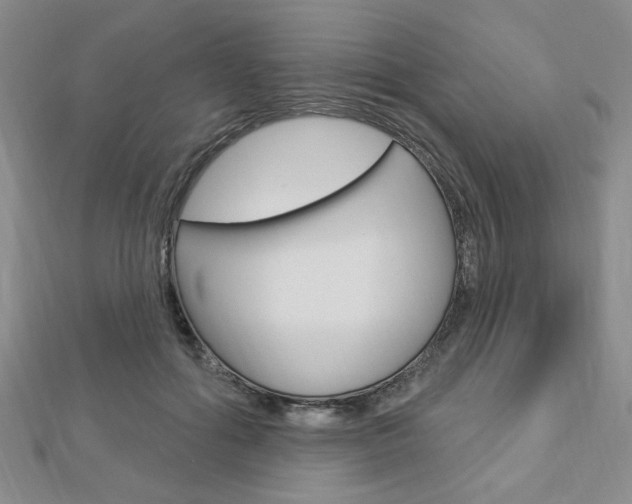 X0000112910602200908241010