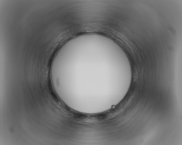 X0000112910604200908241010