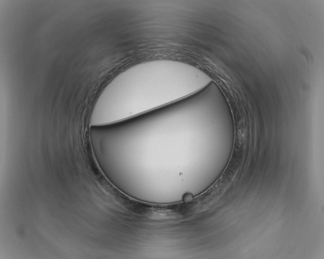 X0000112910605200908241010