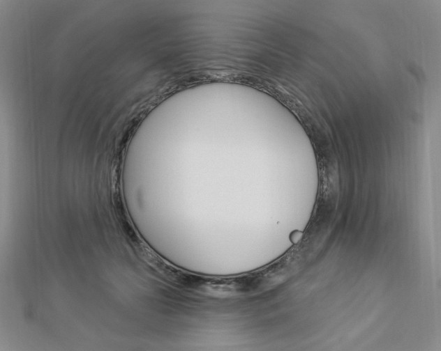 X0000112910606200908241010