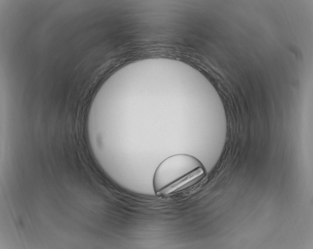 X0000112910611200908241010