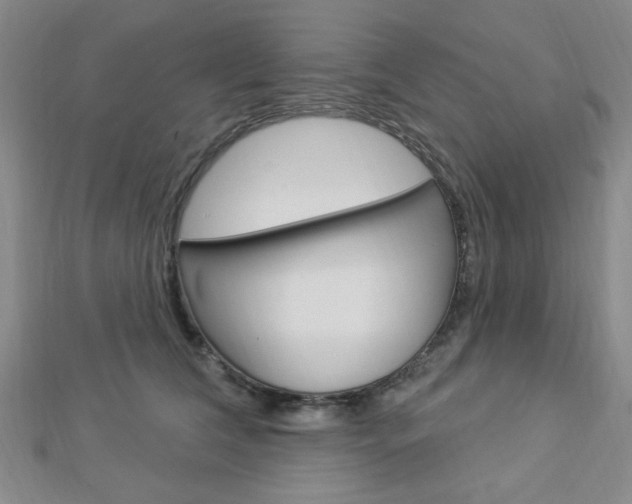 X0000112910612200908241010