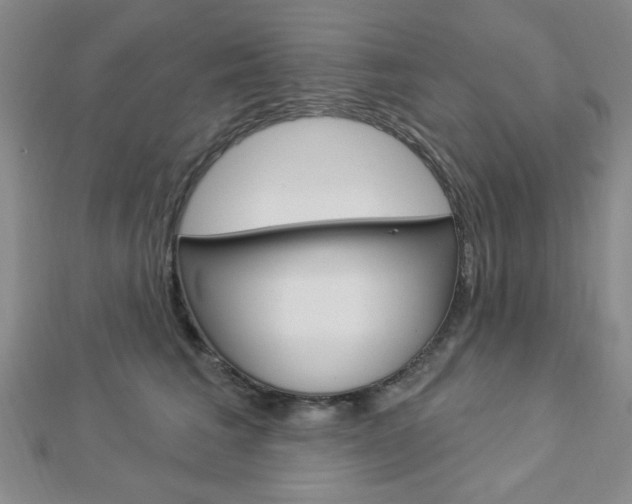 X0000112910613200908241010