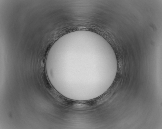 X0000112910614200908241010
