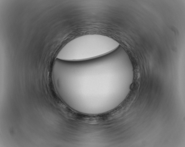 X0000112910615200908241010