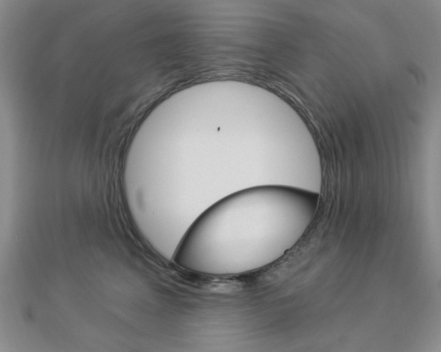 X0000112910617200908241010