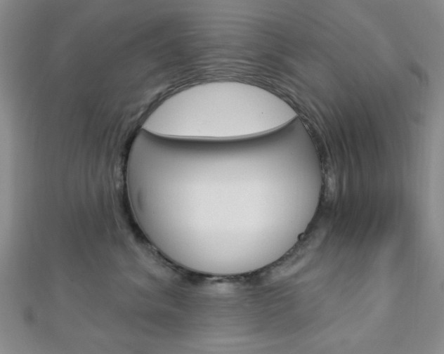X0000112910620200908241010