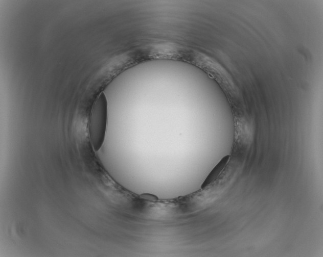 X0000112910621200908241010