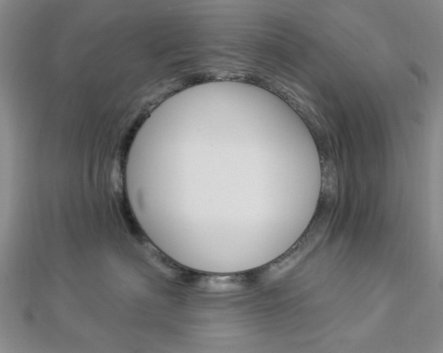 X0000112910622200908241010