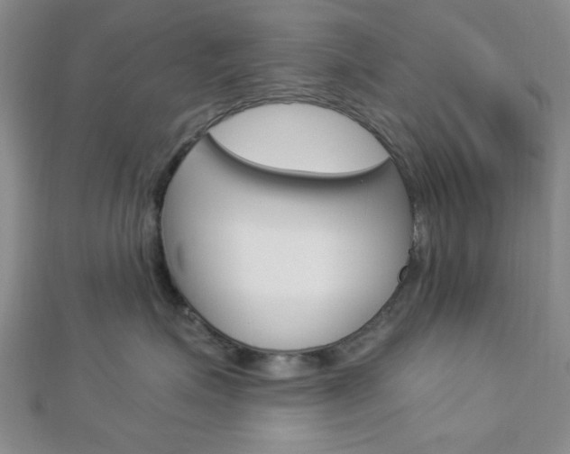 X0000112910623200908241010