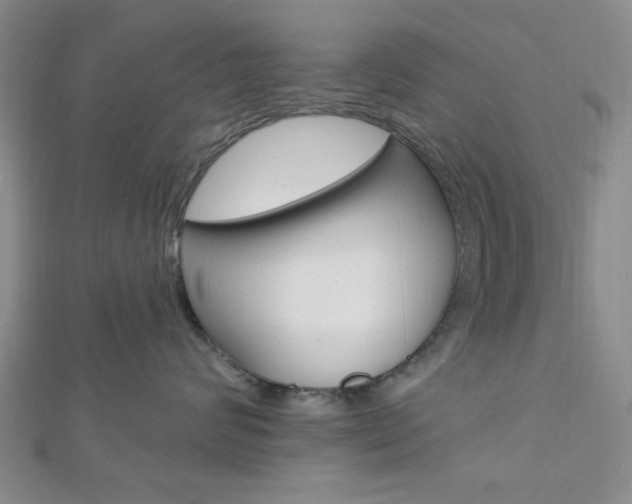 X0000112910624200908241010