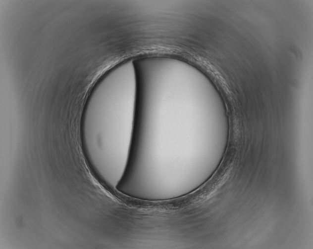 X0000112910625200908241009