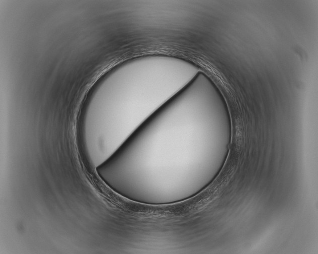 X0000112910626200908241009