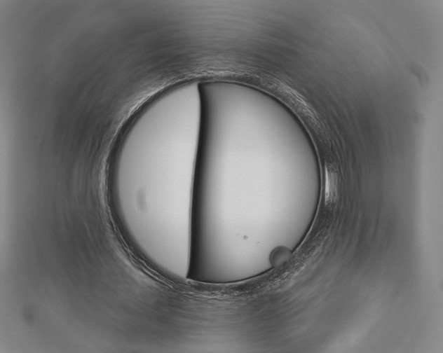 X0000112910627200908241009