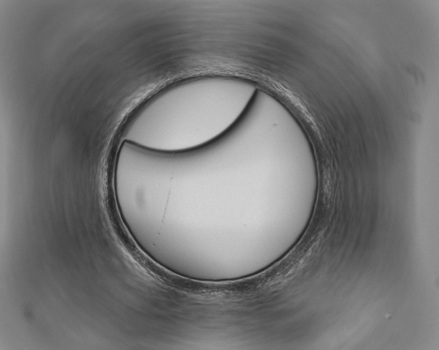 X0000112910629200908241009