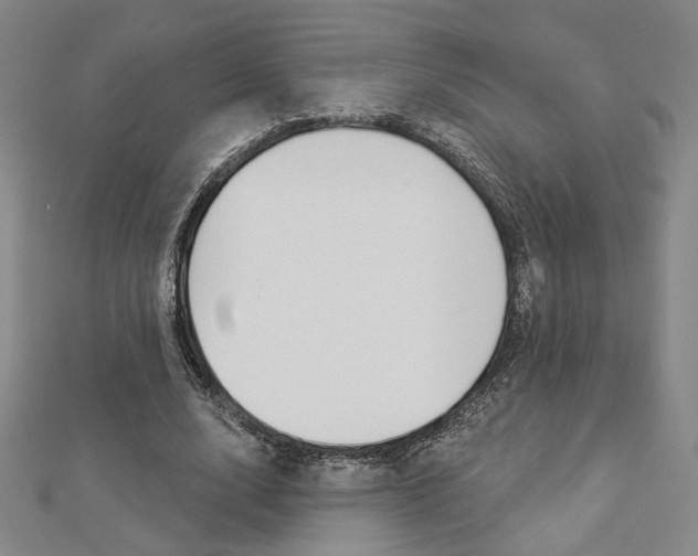 X0000112910632200908241009