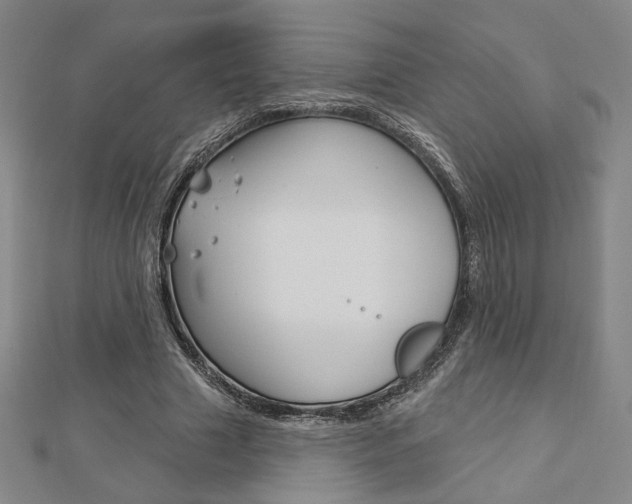 X0000112910633200908241009