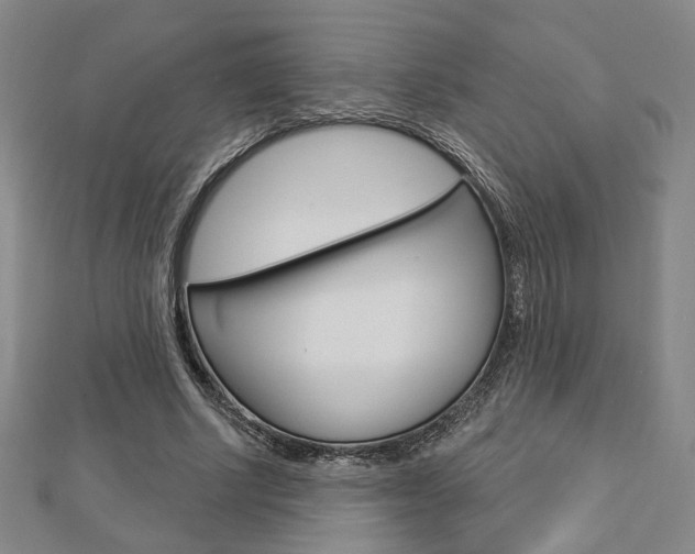 X0000112910634200908241009