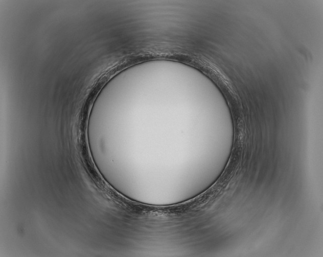 X0000112910635200908241009