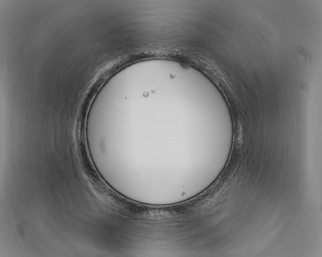 X0000112910636200908241009