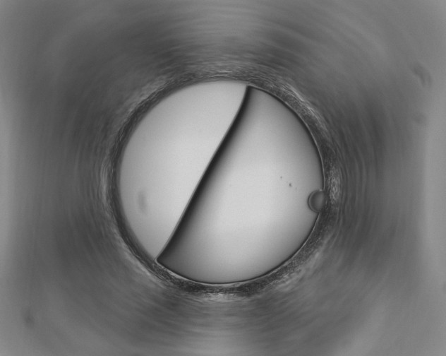 X0000112910637200908241009